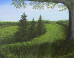 Green Trail 10x8 inches